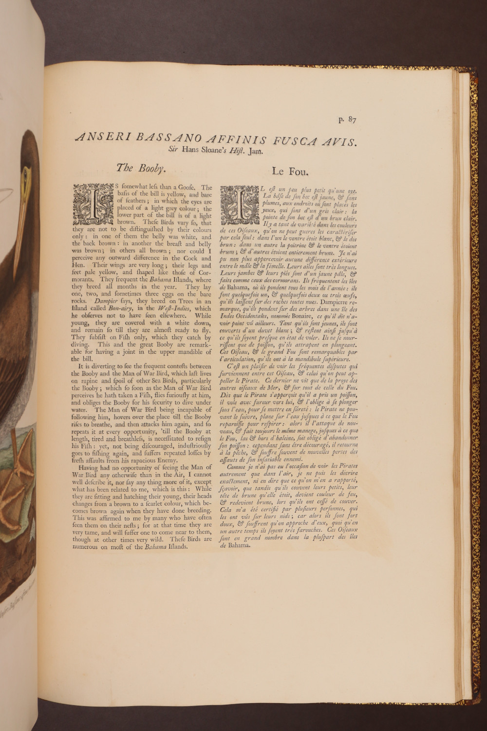 Page 87